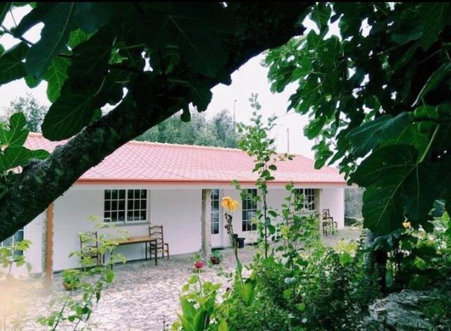 Вілла Casa Boavista Паредеш-де-Кора Екстер'єр фото