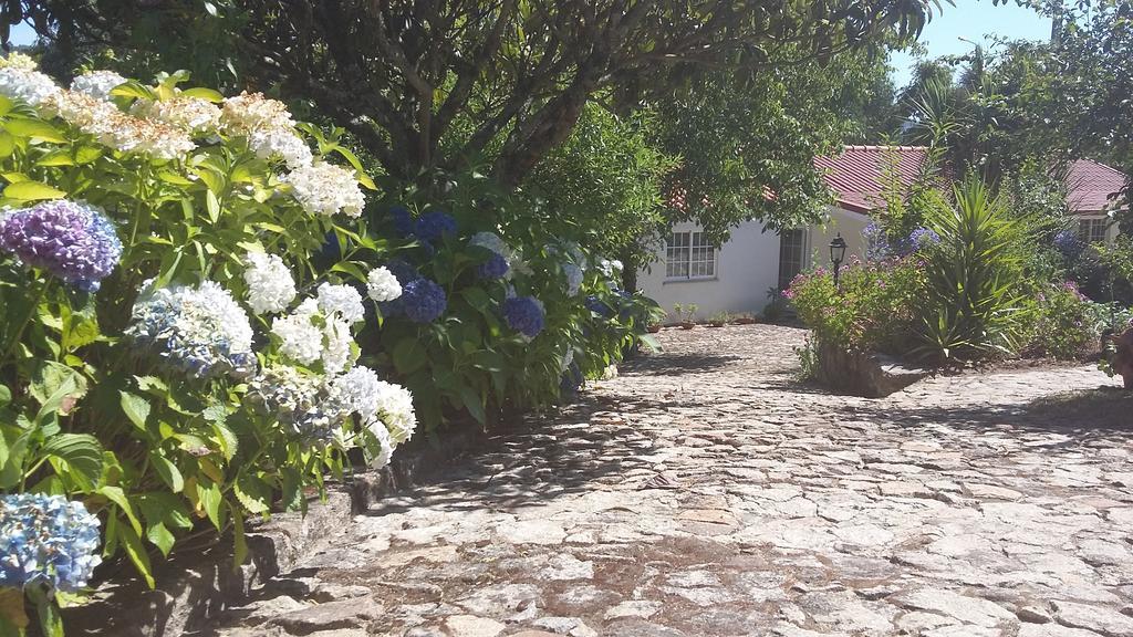 Вілла Casa Boavista Паредеш-де-Кора Екстер'єр фото